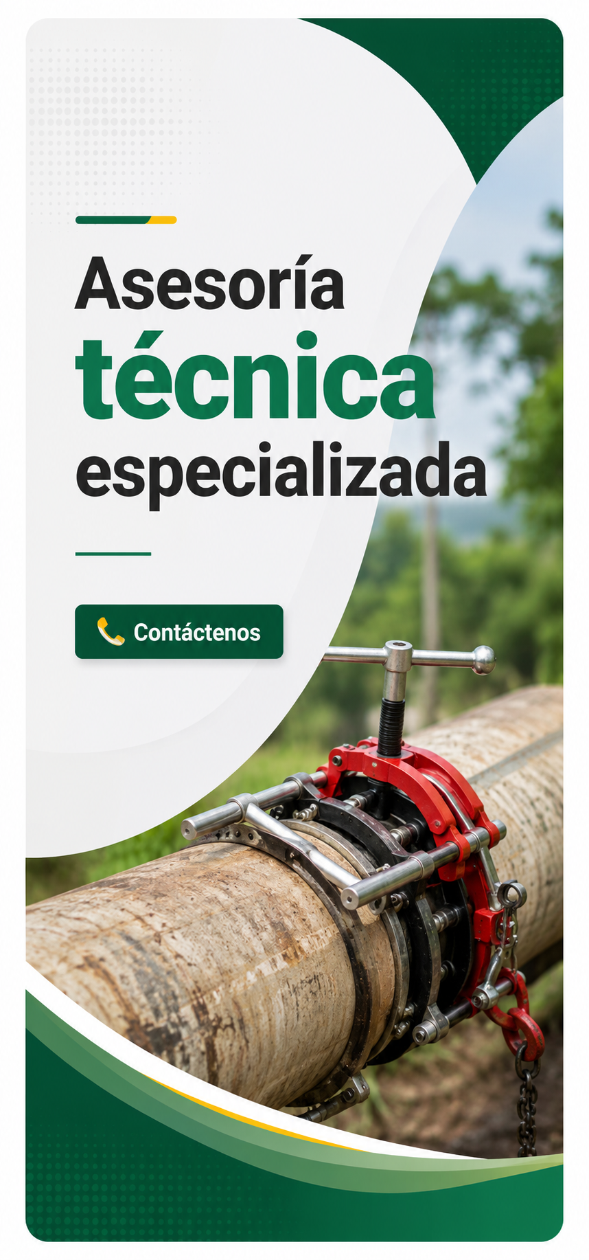 lideres de marca